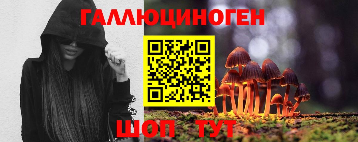Фурманов  Галлюциногенные грибы Cubensis  Вход с VPN 